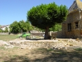 DSC00156