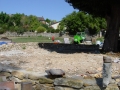 DSC00223