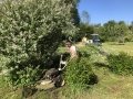 IMG_3014