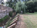 IMG_3878
