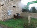 DSCF0593