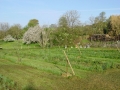 DSC00208