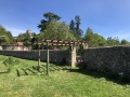 IMG_3587
